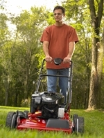 choosing_mower_1